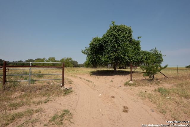 1003 County Road 334 Property Photo 18