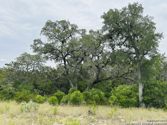 Lot 20 County Road 2652 Property Photo 3