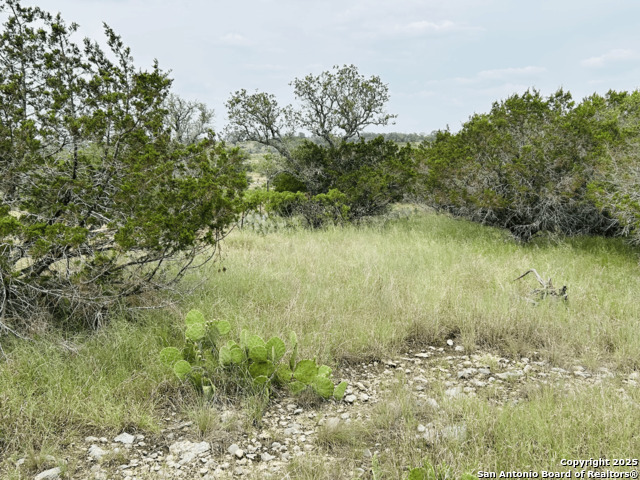 Lot 20 County Road 2652 Property Photo 5