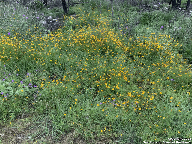 Lot 20 County Road 2652 Property Photo 9