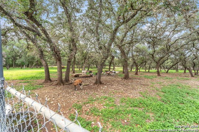 11650 Sunset Ranch Property Photo 78
