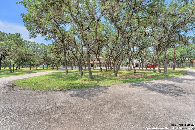 11650 Sunset Ranch Property Photo 134