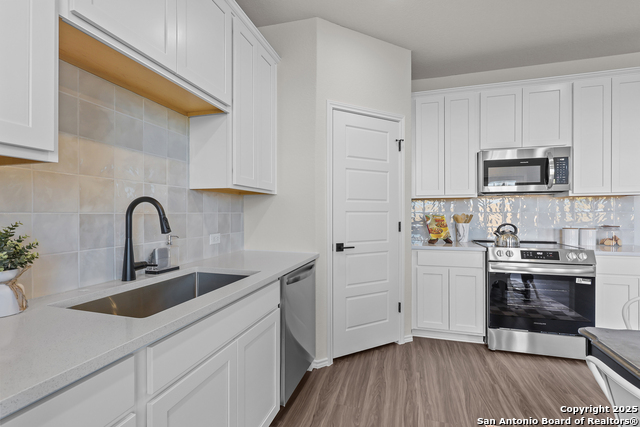 2547 Dry Moss Way Property Photo 10
