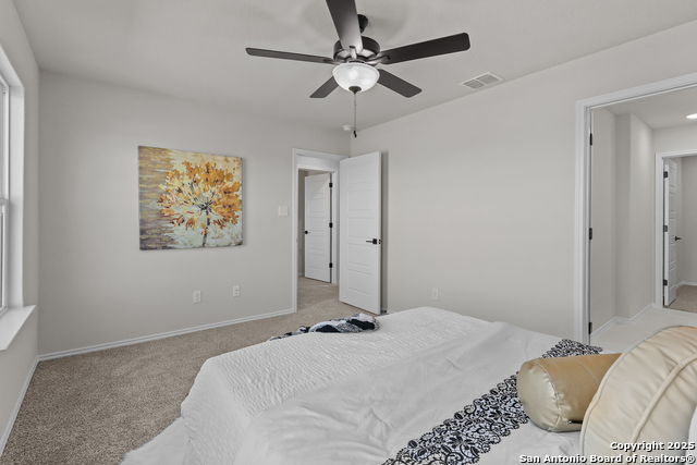 2547 Dry Moss Way Property Photo 18