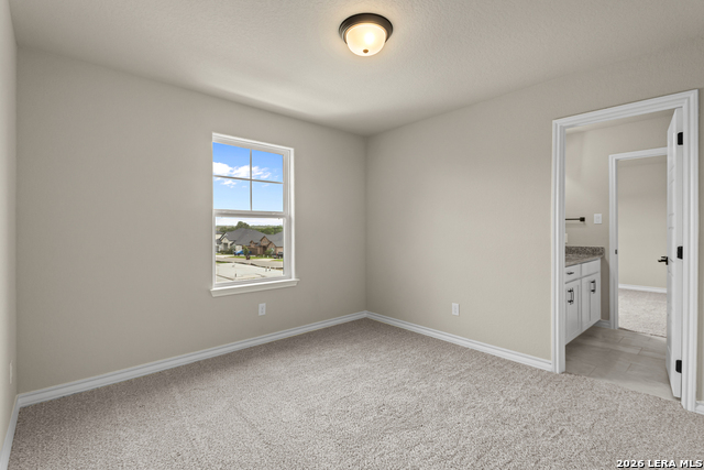 127 Highland Park Property Photo 31