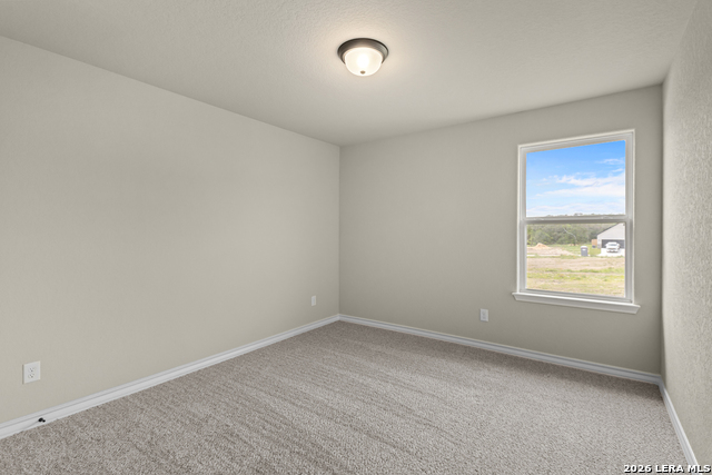 127 Highland Park Property Photo 34