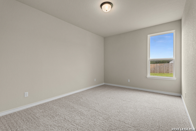 127 Highland Park Property Photo 36