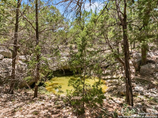 4366 Whartons Dock Property Photo 6