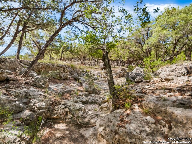 4366 Whartons Dock Property Photo 69