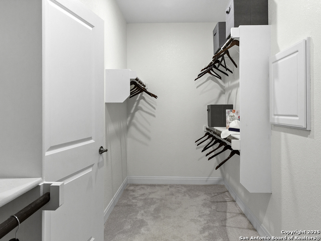 125 Slenderleaf Property Photo 34