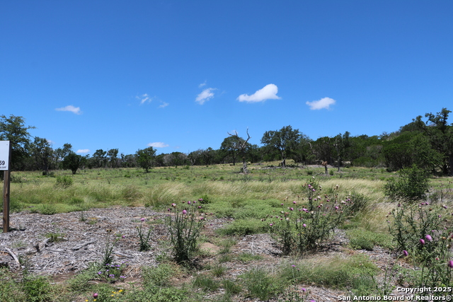 25 Seep Springs Property Photo 3