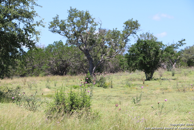 25 Seep Springs Property Photo 7
