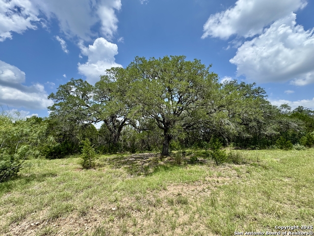 Lot 186 Pr 1712 Property Photo 8