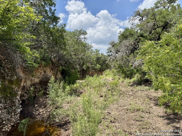 Lot 186 Pr 1712 Property Photo 20