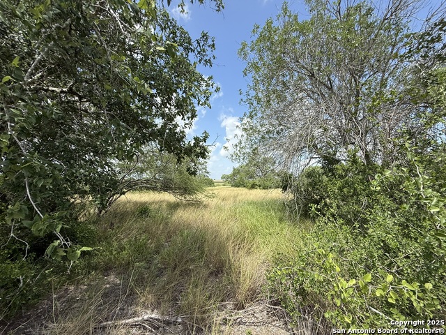 11234 Fm 626 Property Photo 1