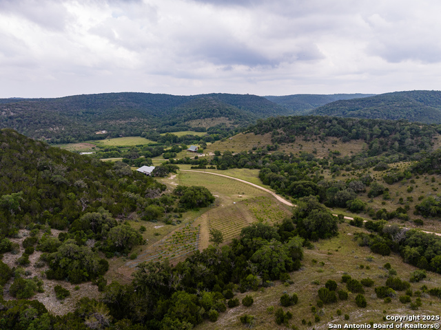 1616 Mickle Creek Property Photo 17
