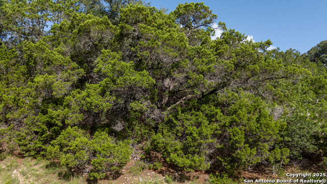 235 Sir Arthur Property Photo 6