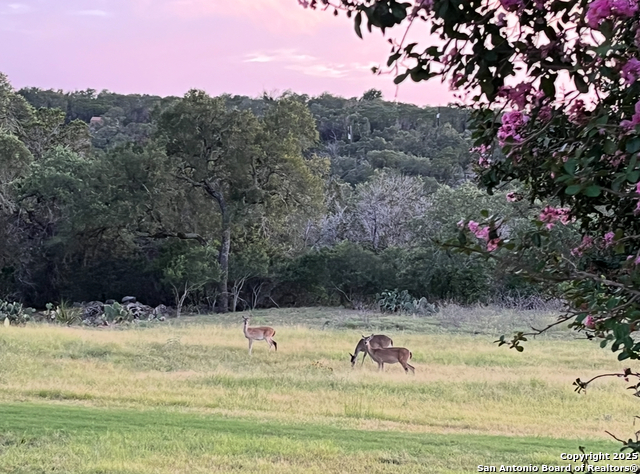 611 Wild Turkey Property Photo 47