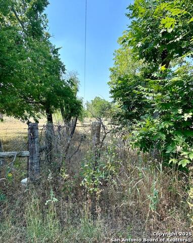 Tbd County Road 679 Property Photo 4