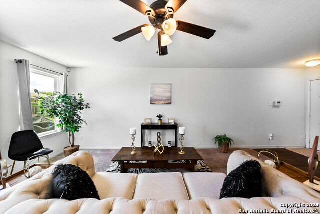 3827 Southton View Property Photo 4