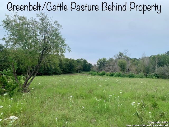 Lot 151r Stagecoach Property Photo 3