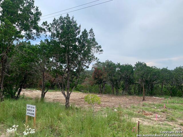 Lot 151r Stagecoach Property Photo 13