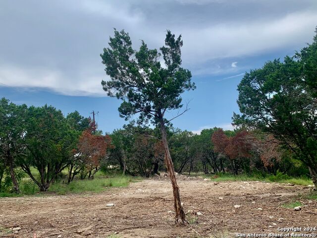 Lot 151r Stagecoach Property Photo 16
