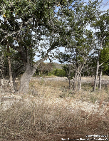 Lot 151r Stagecoach Property Photo 18