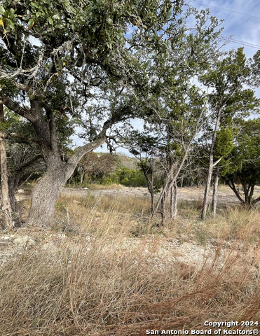 Lot 151r Stagecoach Property Photo 19