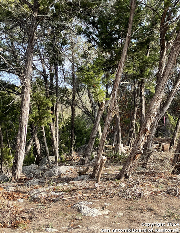 Lot 151r Stagecoach Property Photo 21