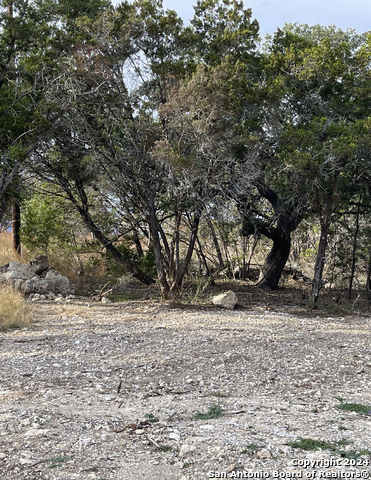 Lot 151r Stagecoach Property Photo 22