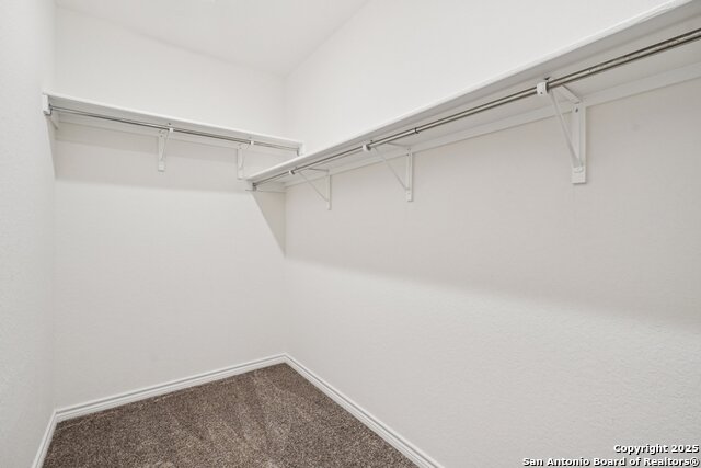 5222 Wolf Bane Property Photo 26