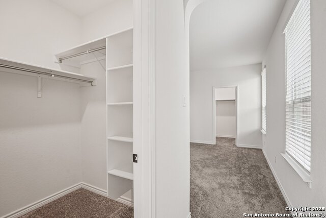 5222 Wolf Bane Property Photo 27