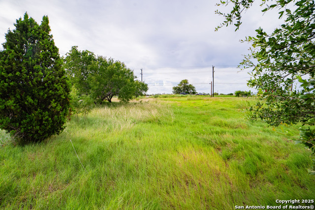 9470 Fm 1346 Property Photo 15