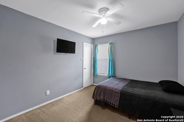6206 Heathers Cv Property Photo 8