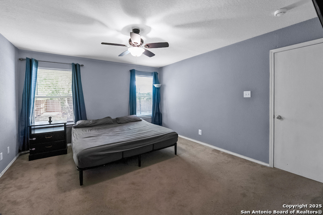 6206 Heathers Cv Property Photo 12
