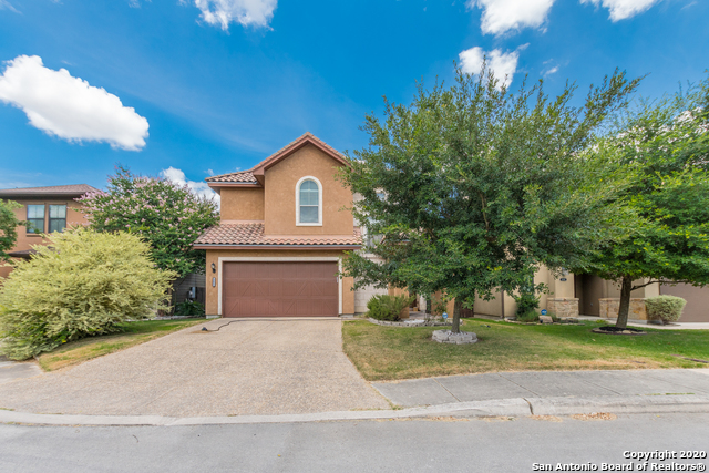 13822 Oakview Cove Property Photo 5