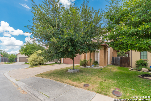 13822 Oakview Cove Property Photo 6