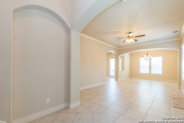 13822 Oakview Cove Property Photo 11