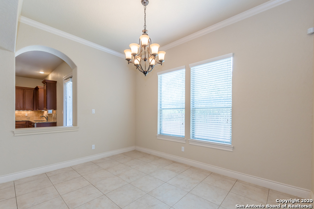 13822 Oakview Cove Property Photo 16