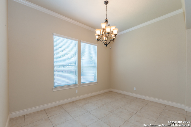 13822 Oakview Cove Property Photo 17