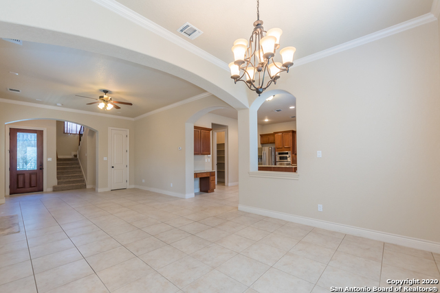 13822 Oakview Cove Property Photo 19