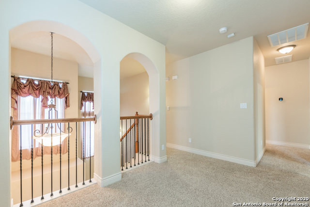 13822 Oakview Cove Property Photo 33