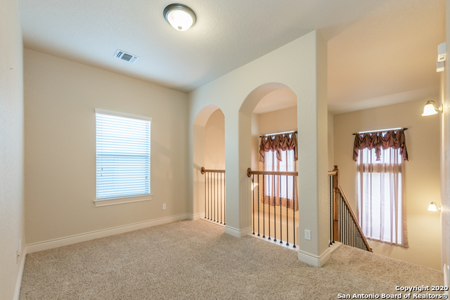13822 Oakview Cove Property Photo 34