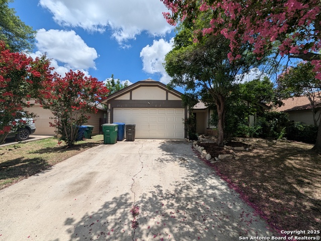 9151 Tree Village Property Photo 1
