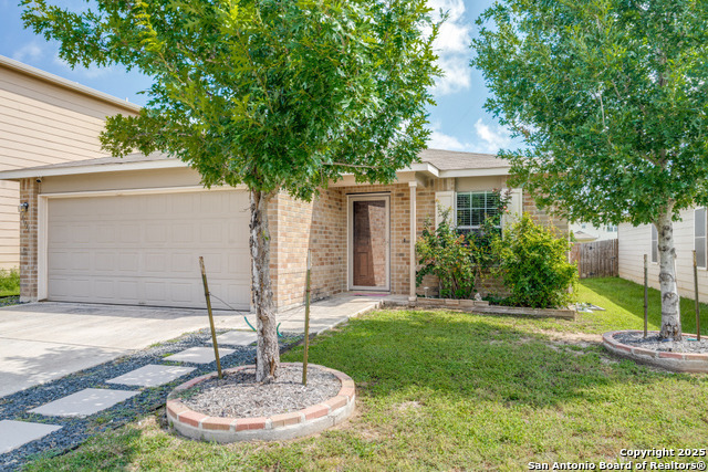 11731 Silver Horse Property Photo 2