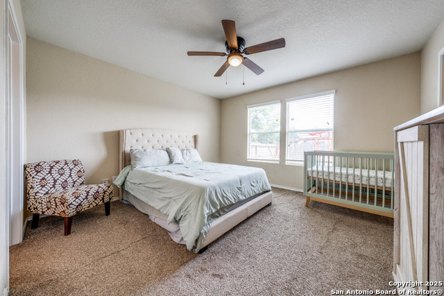11731 Silver Horse Property Photo 10