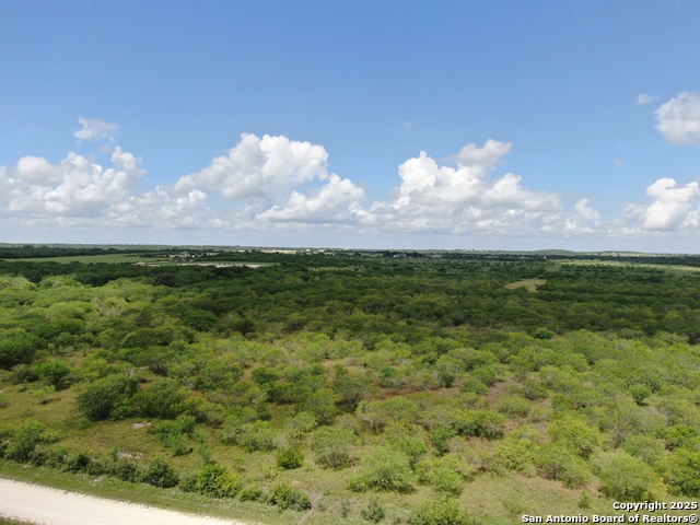 TRACT 6 County Rd 208 Property Photo 1