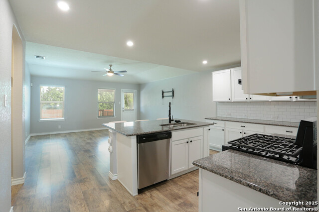 322 Cheeked Pintail Property Photo 7