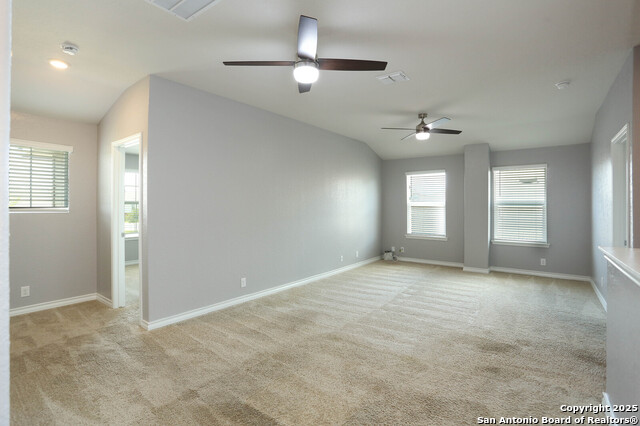 322 Cheeked Pintail Property Photo 17